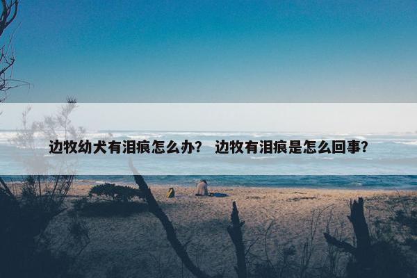 边牧幼犬有泪痕怎么办？ 边牧有泪痕是怎么回事？