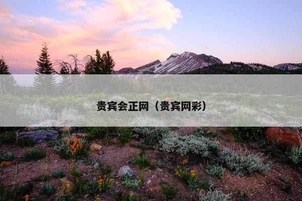 贵宾会正网(贵宾网彩)