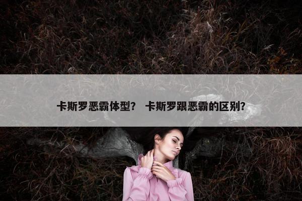卡斯罗恶霸体型？ 卡斯罗跟恶霸的区别？