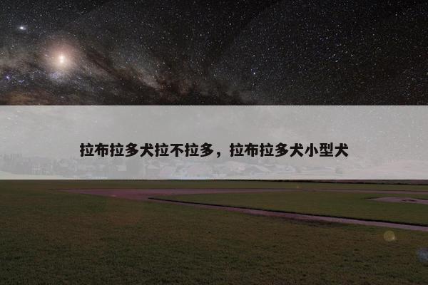 拉布拉多犬拉不拉多，拉布拉多犬小型犬