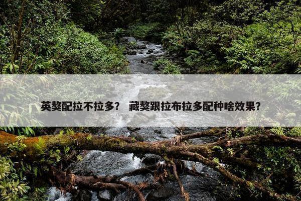南非