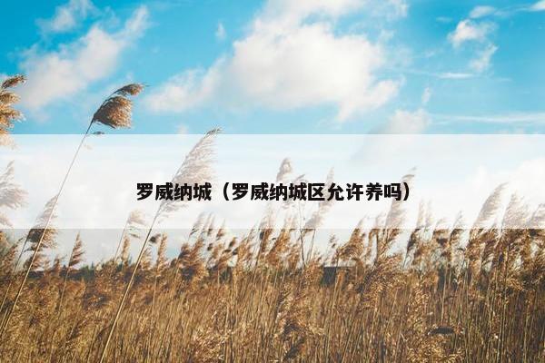 罗威纳城（罗威纳城区允许养吗）