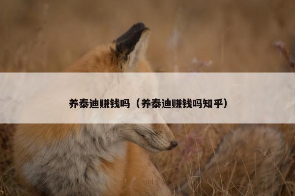 养泰迪赚钱吗（养泰迪赚钱吗知乎）