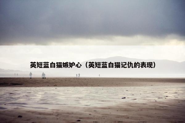 英短蓝白猫嫉妒心（英短蓝白猫记仇的表现）