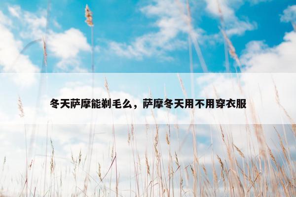 冬天萨摩能剃毛么，萨摩冬天用不用穿衣服