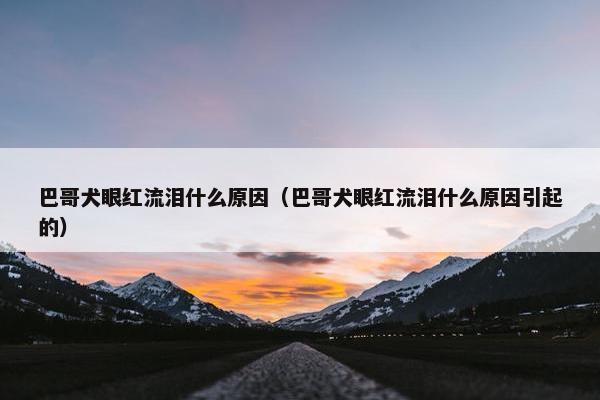 巴哥犬眼红流泪什么原因（巴哥犬眼红流泪什么原因引起的）