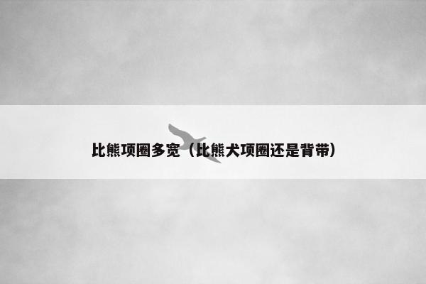 比熊项圈多宽（比熊犬项圈还是背带）