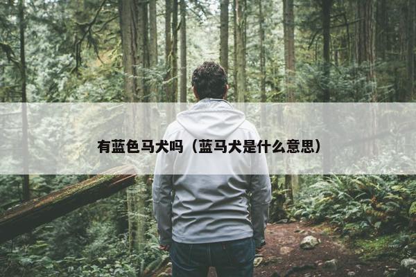 有蓝色马犬吗（蓝马犬是什么意思）