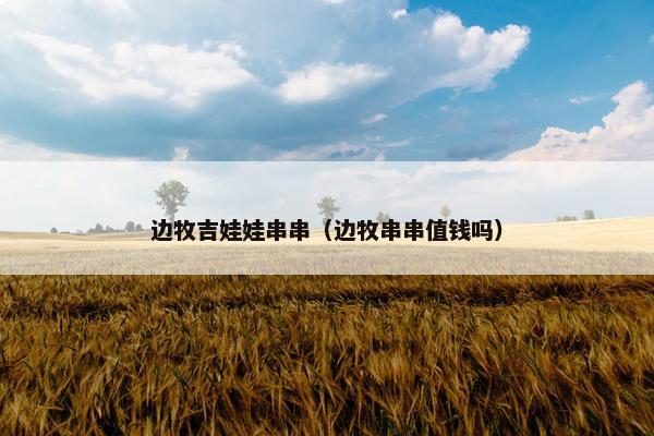 边牧吉娃娃串串(边牧串串值钱吗)