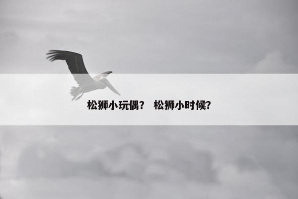 松狮小玩偶？ 松狮小时候？