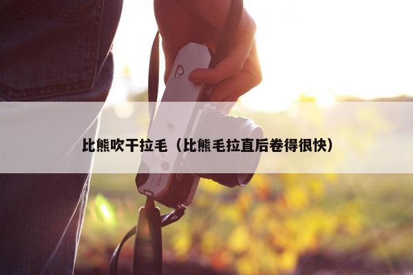 比熊吹干拉毛（比熊毛拉直后卷得很快）