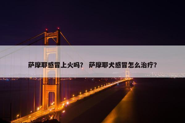 萨摩耶感冒上火吗？ 萨摩耶犬感冒怎么治疗？