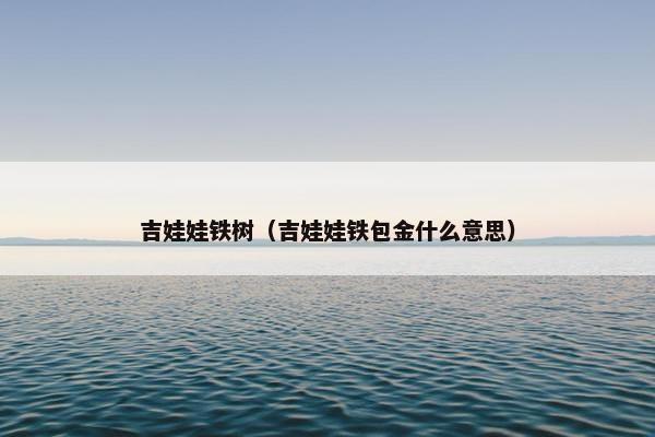 吉娃娃铁树（吉娃娃铁包金什么意思）