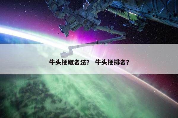 牛头梗取名法？ 牛头梗排名？