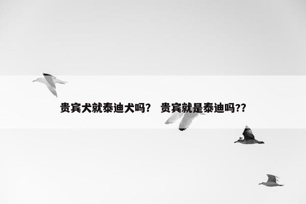 贵宾犬就泰迪犬吗？ 贵宾就是泰迪吗?？
