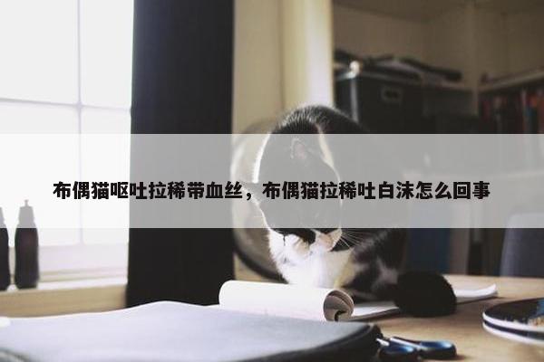 布偶猫呕吐拉稀带血丝，布偶猫拉稀吐白沫怎么回事