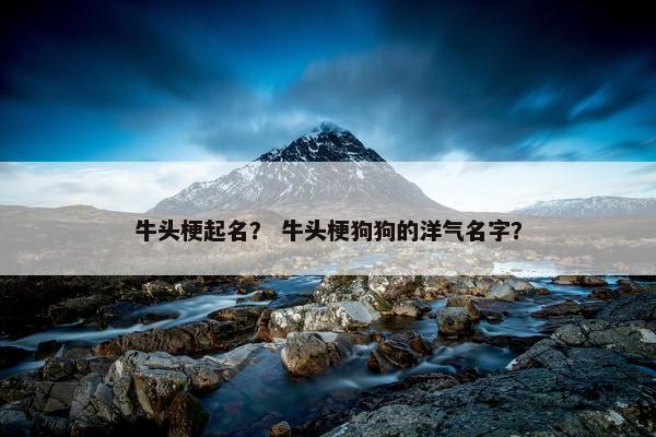 牛头梗起名？ 牛头梗狗狗的洋气名字？