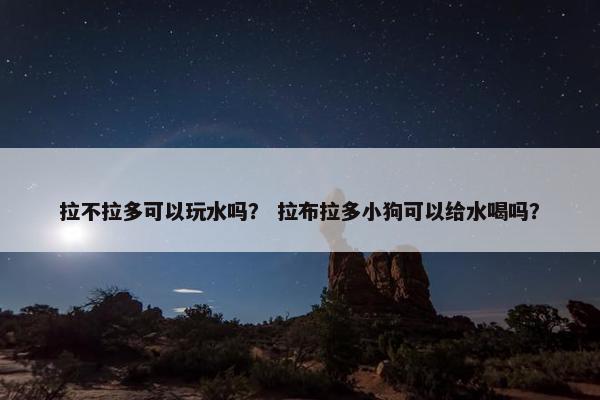 拉不拉多可以玩水吗？ 拉布拉多小狗可以给水喝吗？