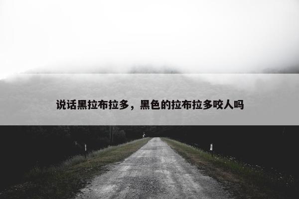 说明