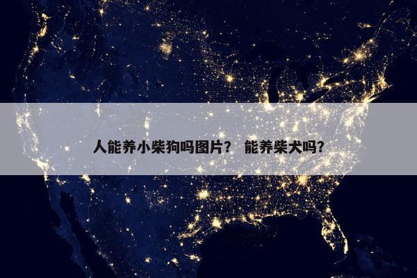 人能养小柴狗吗图片？ 能养柴犬吗？