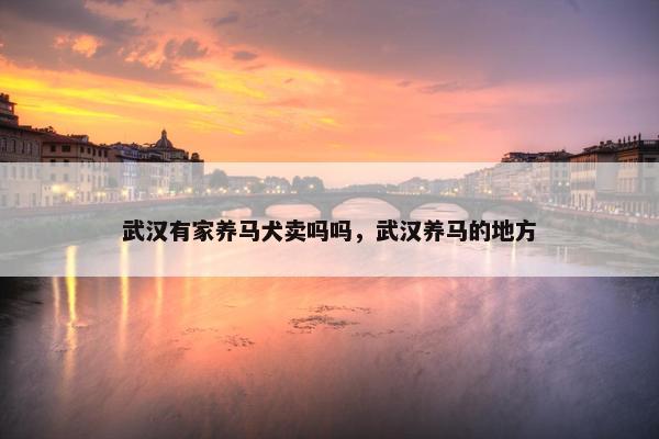 武汉有家养马犬卖吗吗，武汉养马的地方