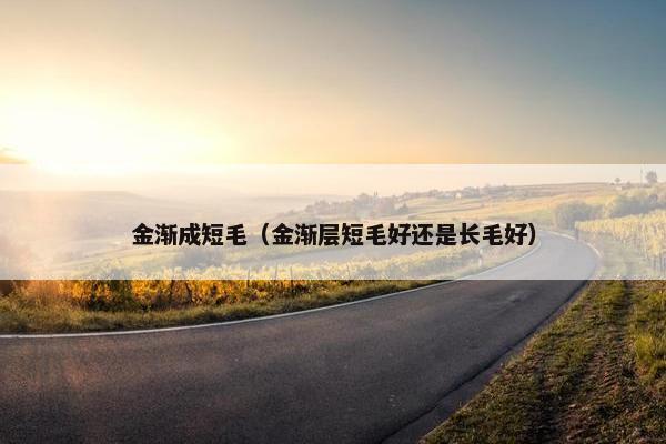 金渐成短毛（金渐层短毛好还是长毛好）