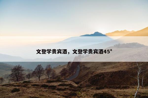 文登学贵宾酒,文登学贵宾酒45°