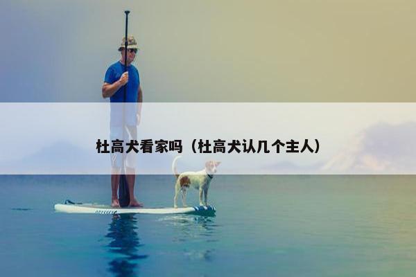 服从性 第7页