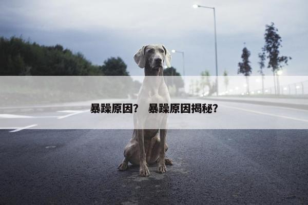 暴躁原因？ 暴躁原因揭秘？