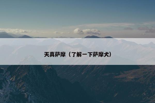 天真萨摩（了解一下萨摩犬）