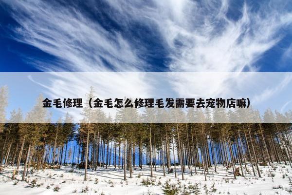 金毛修理（金毛怎么修理毛发需要去宠物店嘛）