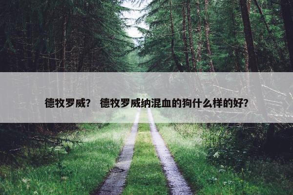 德牧罗威？ 德牧罗威纳混血的狗什么样的好？