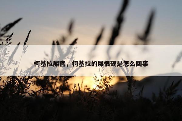 柯基拉屎官，柯基拉的屎很硬是怎么回事