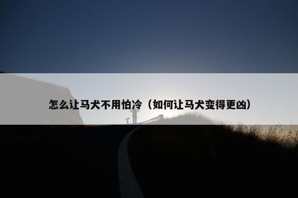 怎么让马犬不用怕冷（如何让马犬变得更凶）