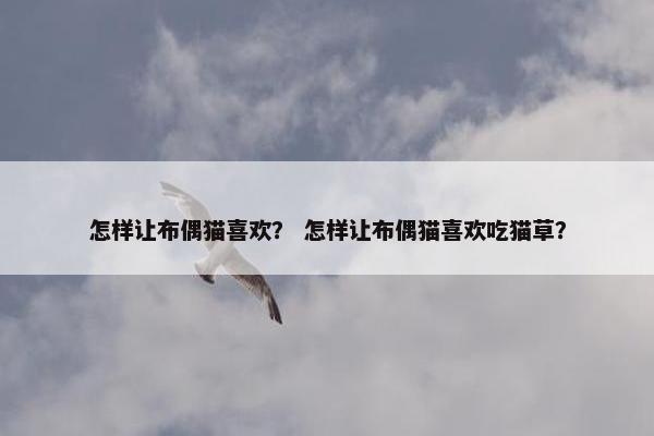 怎样让布偶猫喜欢? 怎样让布偶猫喜欢吃猫草?