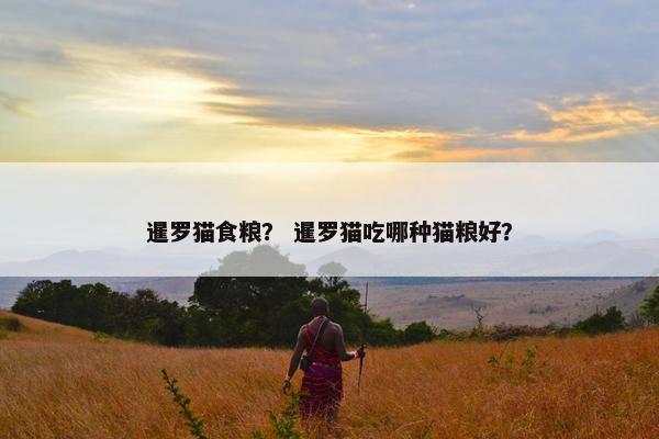 暹罗猫食粮？ 暹罗猫吃哪种猫粮好？