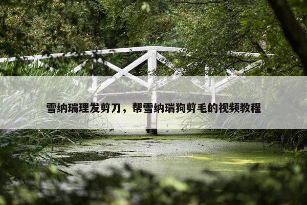 雪纳瑞理发剪刀，帮雪纳瑞狗剪毛的视频教程