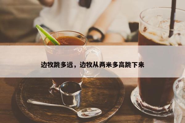 边牧跳多远，边牧从两米多高跳下来