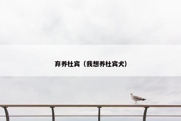 弃养杜宾（我想养杜宾犬）