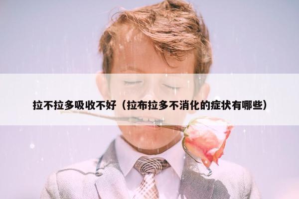 拉不拉多吸收不好（拉布拉多不消化的症状有哪些）