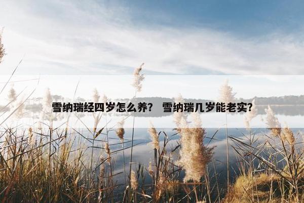 雪纳瑞经四岁怎么养？ 雪纳瑞几岁能老实？