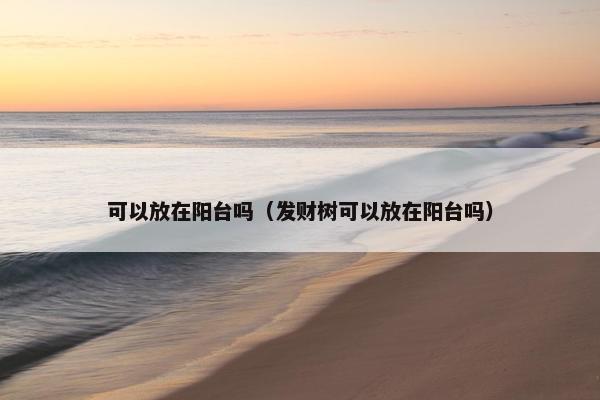 可以放在阳台吗（发财树可以放在阳台吗）