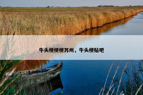 牛头梗梗梗苏州，牛头梗贴吧