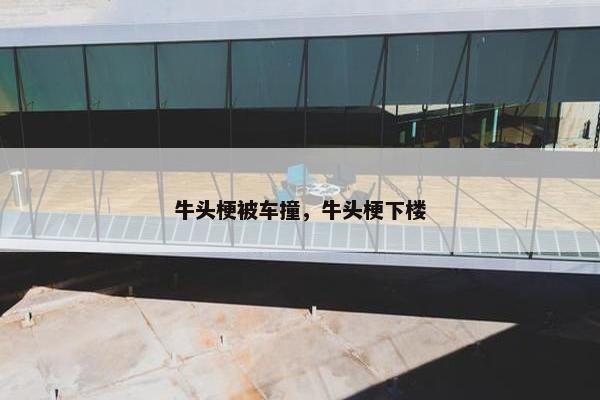 牛头梗被车撞，牛头梗下楼