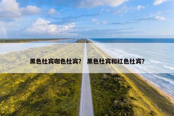 黑色杜宾咖色杜宾？ 黑色杜宾和红色杜宾？