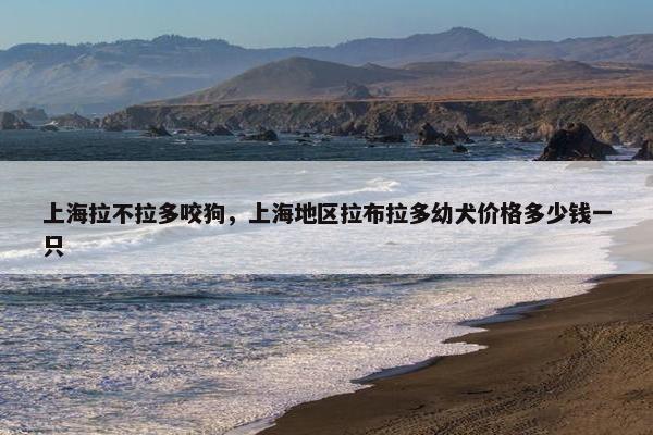 上海拉不拉多咬狗，上海地区拉布拉多幼犬价格多少钱一只