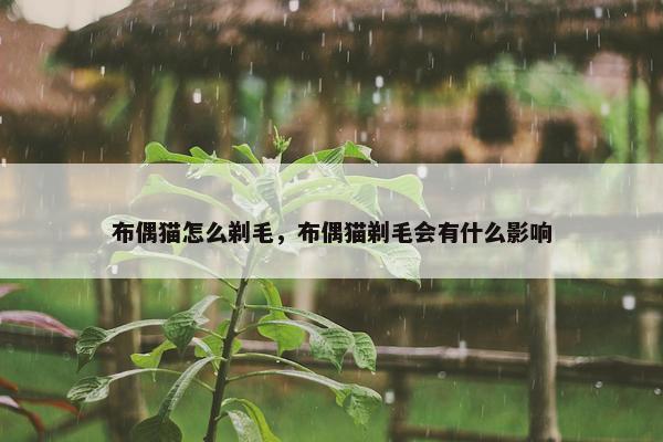 布偶猫怎么剃毛，布偶猫剃毛会有什么影响
