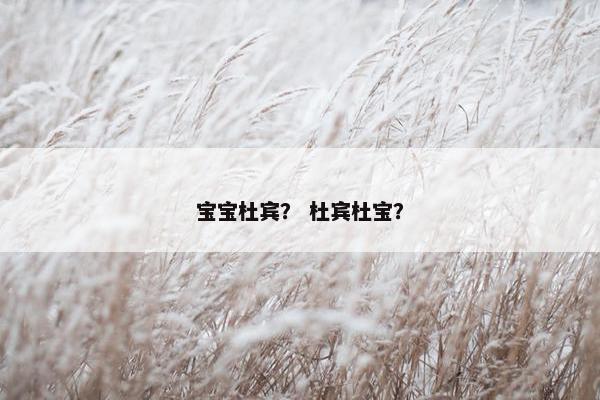 宝宝杜宾？ 杜宾杜宝？