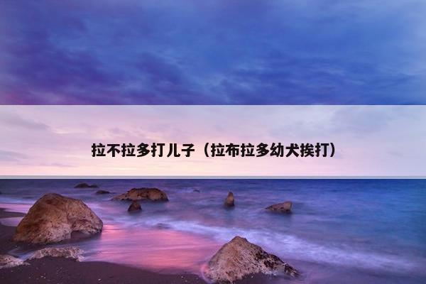 拉不拉多打儿子（拉布拉多幼犬挨打）