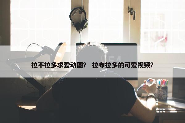 拉不拉多求爱动图？ 拉布拉多的可爱视频？